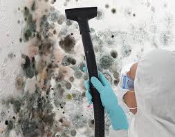 Best Air Quality Testing for Mold Spores  in Sparta, IL